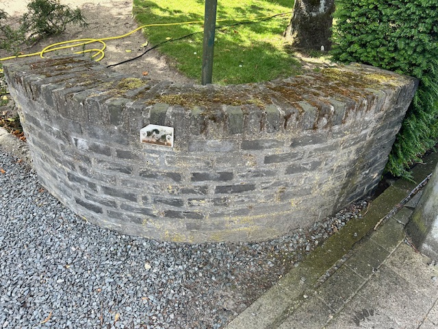 image5 (1)