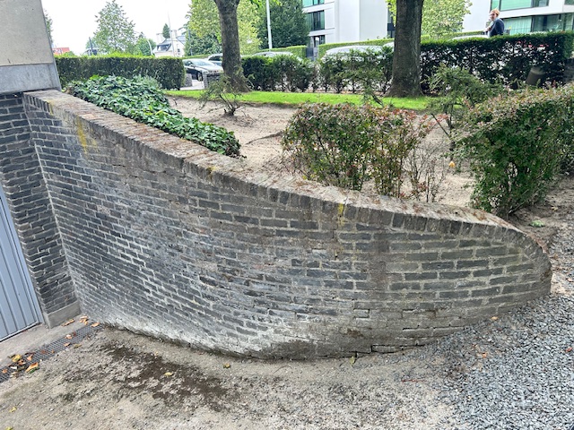 image7 (1)